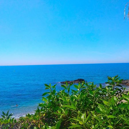Brisa Marina 3 Rooms مالقة المظهر الخارجي الصورة